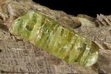 Yellow-Green Fluorapatite Crystal in Calcite - Ontario, Canada #137102-2